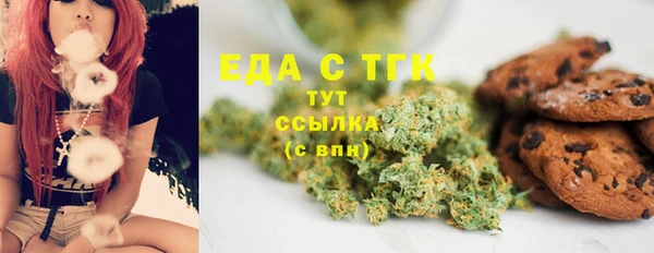 тгк Абаза