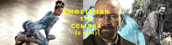 тгк Абаза