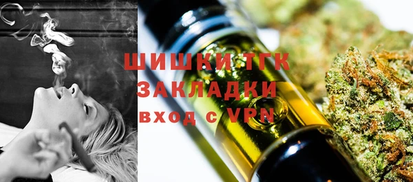 гидра Снежинск